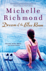 Book Cover: Dream of the Blue Room